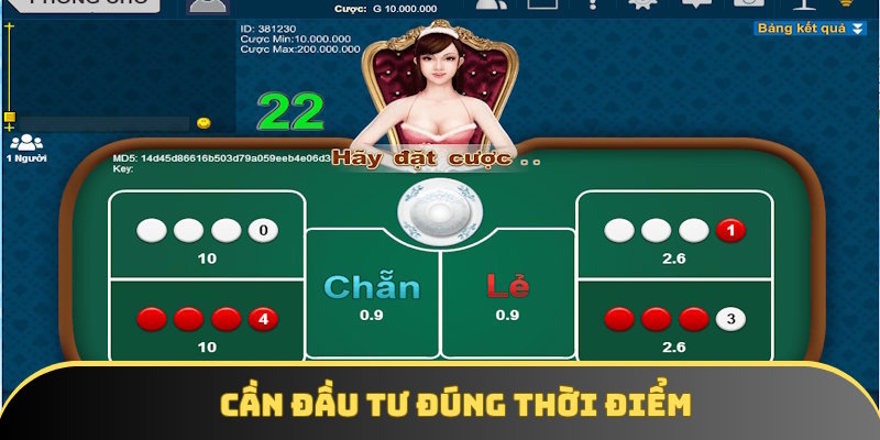 Hội viên cần xác định rõ thời điểm để đầu tư