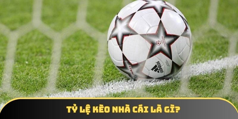 Tỷ lệ kèo nhà cái là gì